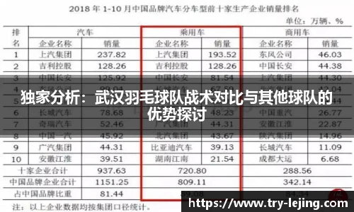 独家分析：武汉羽毛球队战术对比与其他球队的优势探讨